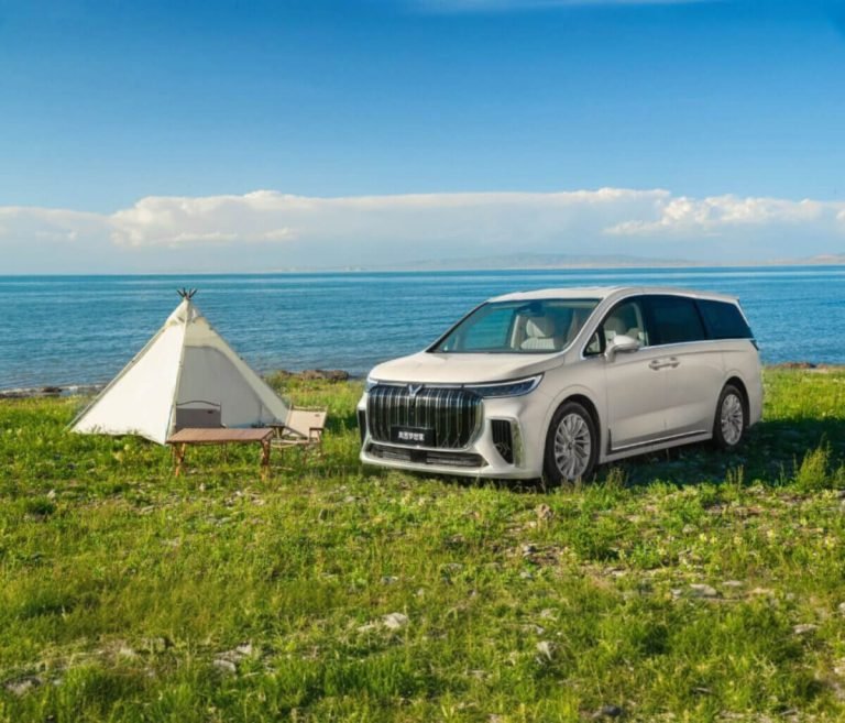 Voyah Dream baltas gamtoje