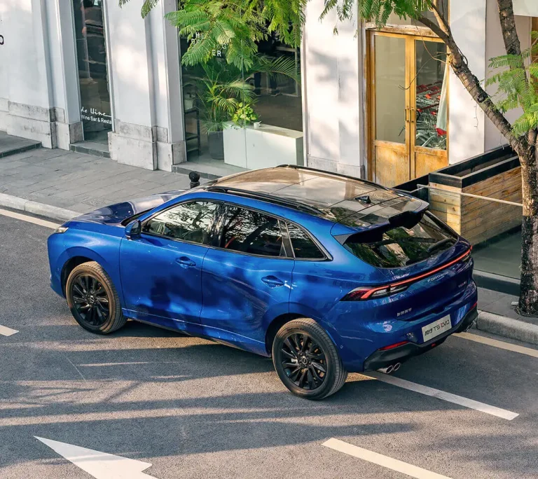 Forthing T5 EVO melynas lauke